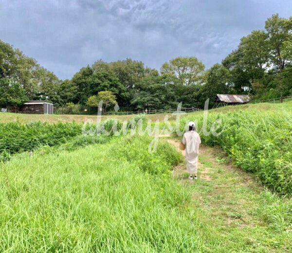 るろうに剣心最終章ザビギニングの神戸ロケ地に行ってきました